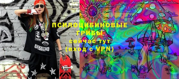 молекула духа Абинск