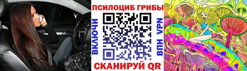 Галлюциногенные грибы Psilocybe  как найти закладки  Тимашёвск 